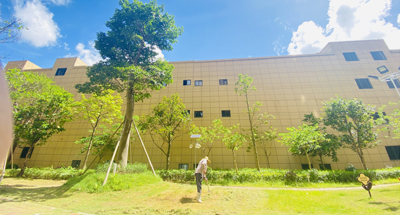 阳西县物业服务履约不到位、侵占业主公共收益等问题专项整治方案的通知