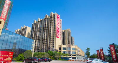 文明养犬，文明社区