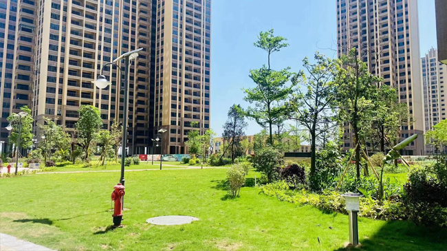 天宇城邦一区二期三期业委会工作汇总公示20241103