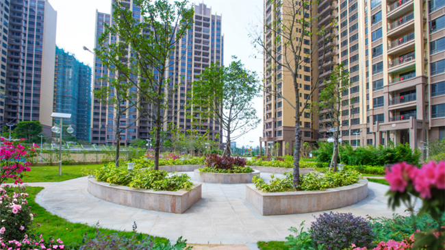 天宇城邦一区二期三期业委会工作汇总公示20240820